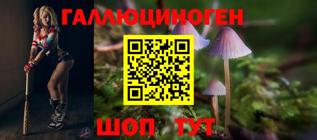 Псилоцибиновые грибы GOLDEN TEACHER  Галлюциногенные грибы мухоморы  Вход с VPN  Кулебаки 