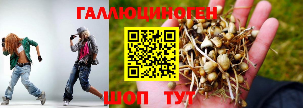 Псилоцибиновые грибы мицелий Кулебаки